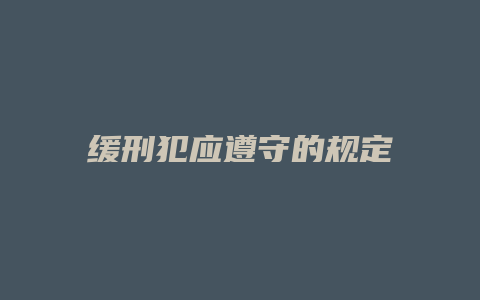 缓刑犯应遵守的规定_允道律所
