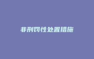 非刑罚性处置措施_允道律所