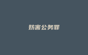 妨害公务罪_允道律所