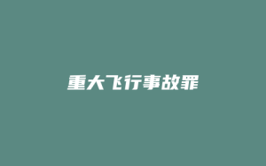 重大飞行事故罪_允道律所