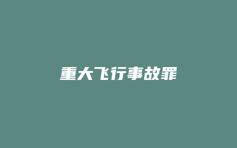 重大飞行事故罪_允道律所