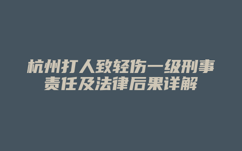 杭州打人致轻伤一级刑事责任及法律后果详解