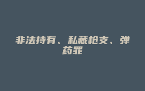 非法持有、私藏枪支、弹药罪_允道律所