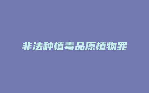 非法种植毒品原植物罪