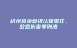 杭州鼻梁骨折法律责任,故意伤害罪刑法_允道律所
