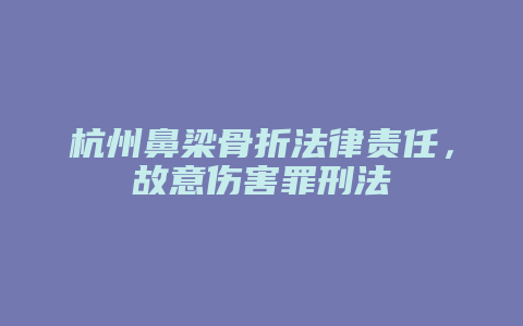 杭州鼻梁骨折法律责任,故意伤害罪刑法