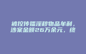 被控传播淫秽物品牟利,涉案金额26万余元,终获不起诉案_允道律所